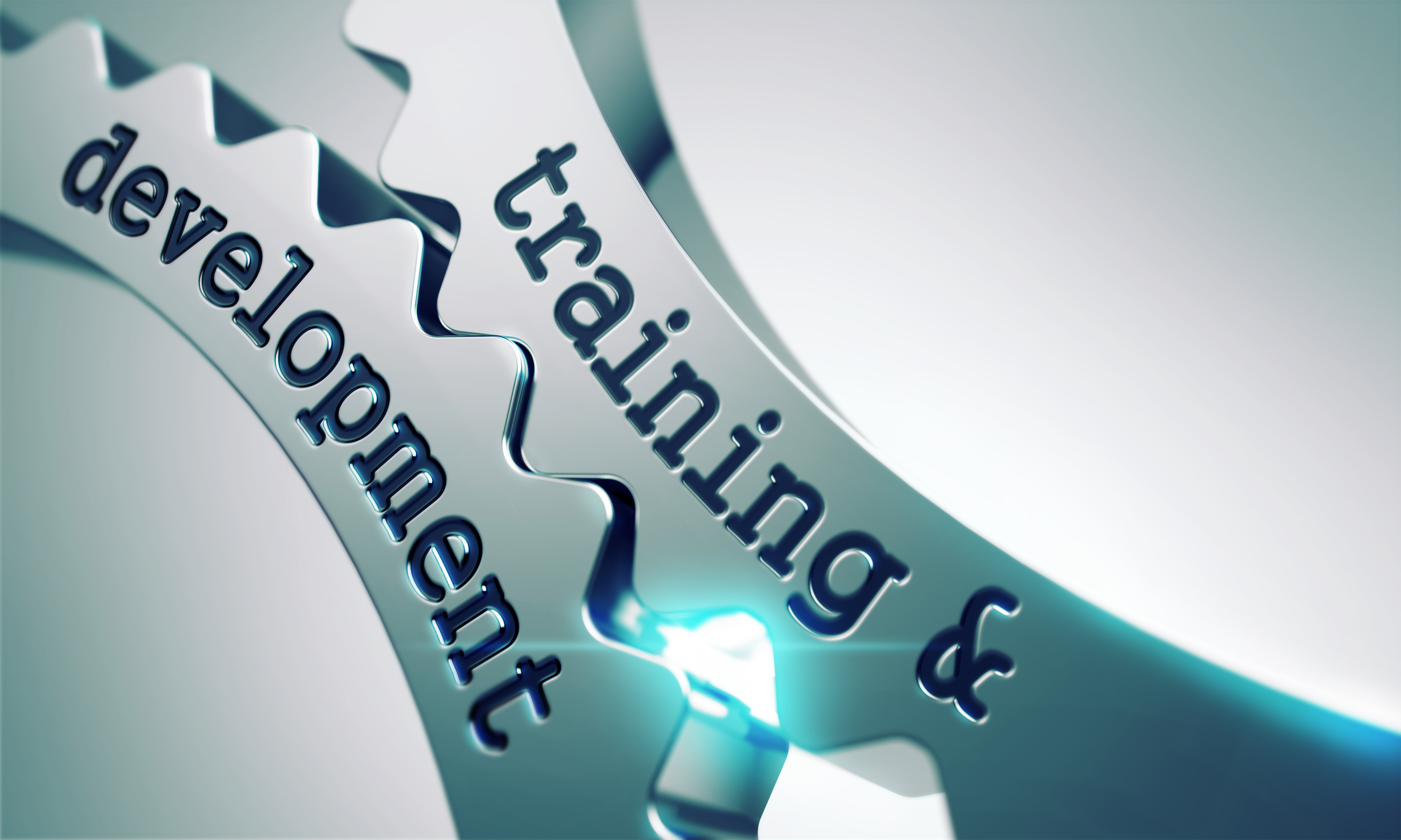 Training & Development